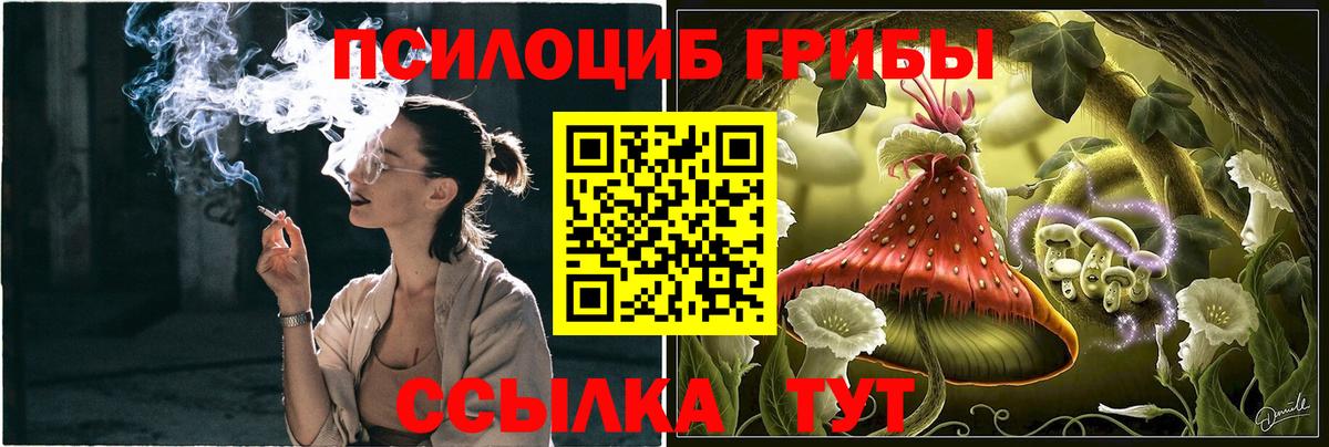 Лобня  Галлюциногенные грибы Psilocybe  Псилоцибиновые грибы мицелий  Вход с VPN 